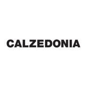 Shop Calzedonia Now