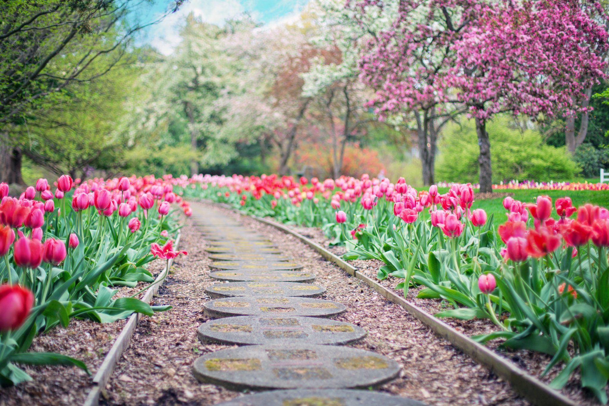 Spring
